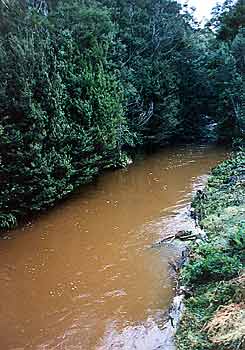Kalista Creek Tasmania