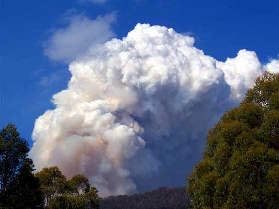 Carbon Tasmania