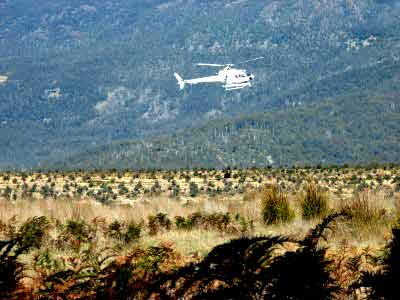 Helicopter Spraying Chemicals Tasmania