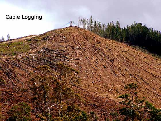 Science of Forestry Tasmania