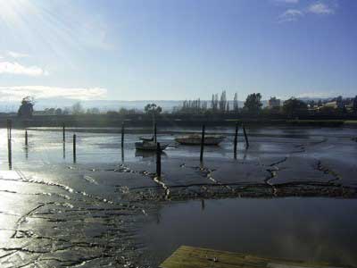 Tamar Silt from Logging