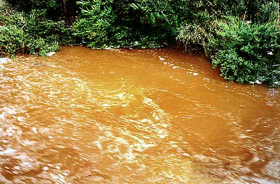 Sediment and Nutrient Loss Tasmania