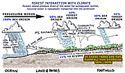 Climate