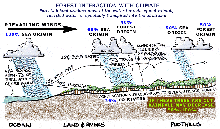 Climate Tasmania