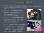 tasdevil207